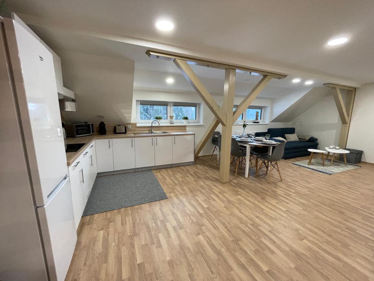 Apartmány Herc Jáchymov Exterior foto