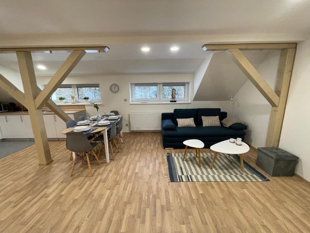 Apartmány Herc Jáchymov Exterior foto